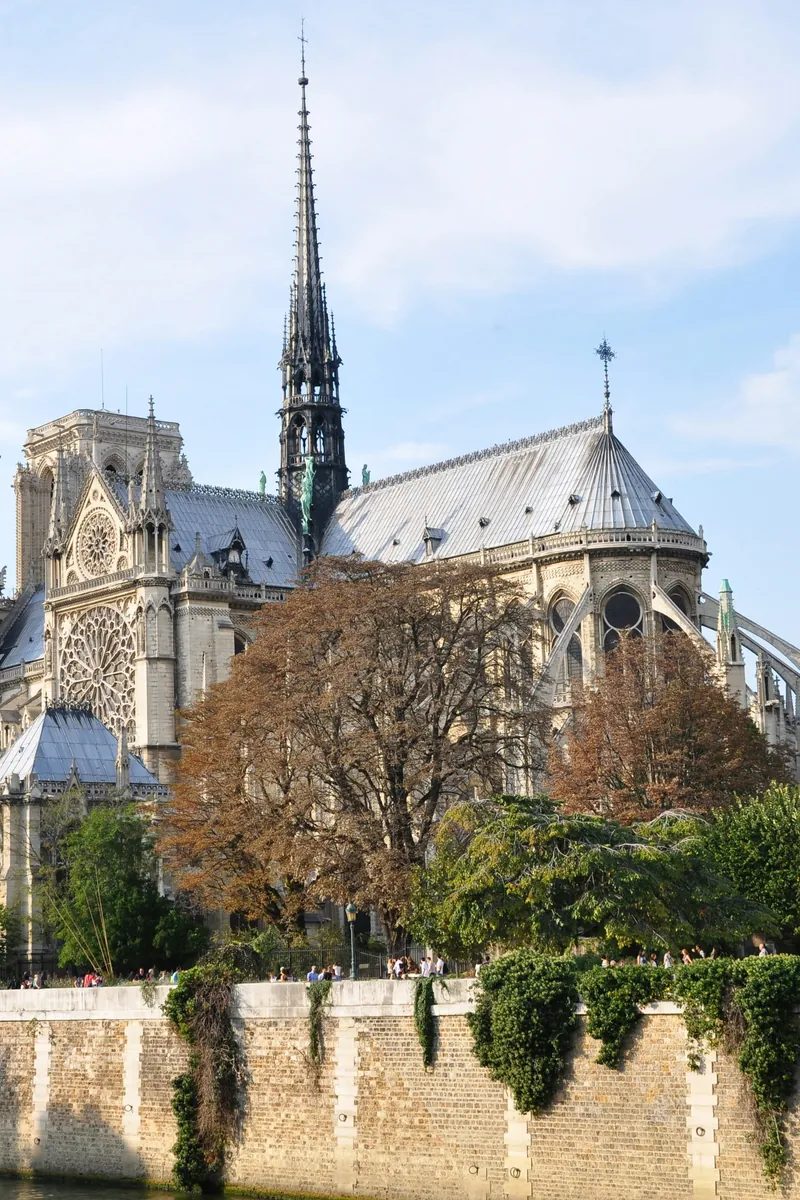 Een stenen chimaera van Notre-Dame de Paris die uitkijkt vanaf de Galerie des Chimères hoog op de kathedraaltorens, met de daken van Parijs en de Seine ver beneden. Parijs, Frankrijk.